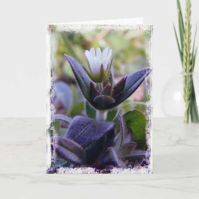 Carte Fleur (Devant)