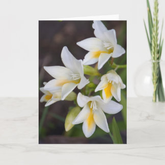 Carte Fleur #1668