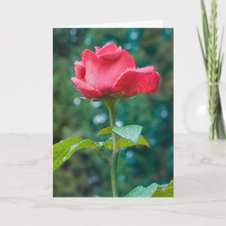 Carte Fleur #2092