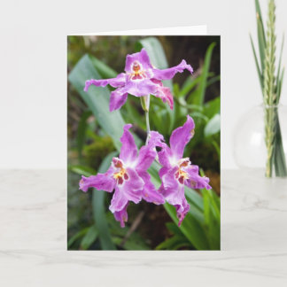 Carte Fleur #2770