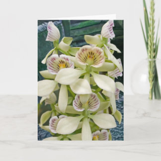 Carte Fleur #2817