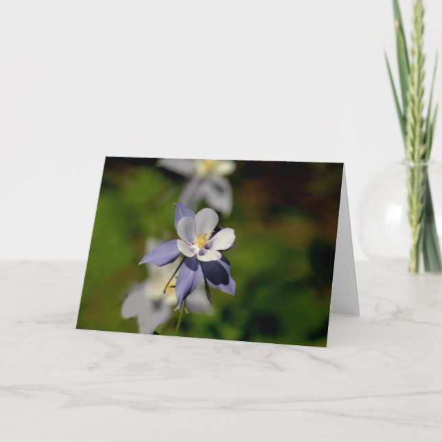 Carte Fleur 7 de Columbine (Devant)