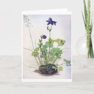 Carte Fleur Aquilegia vulgaris, Albrecht Durer