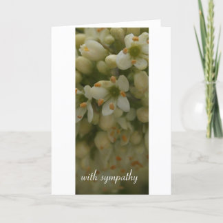 Carte Fleur blanche : avec la sympathie