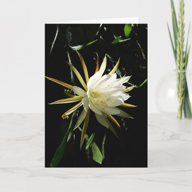 Carte Fleur Cactus (Devant)