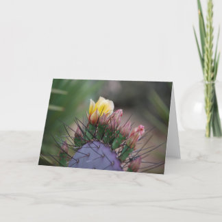 Carte Fleur Cactus 7