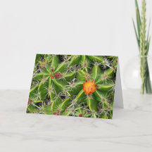 Carte Fleur Cactus - Salutation Personnaliser