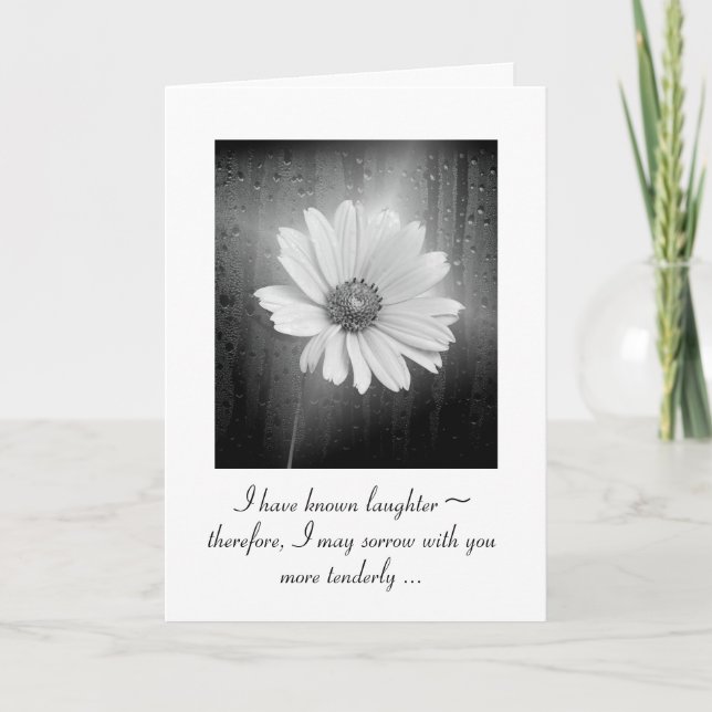 Carte Fleur Cosmos Blanc Avec Pluie (Devant)