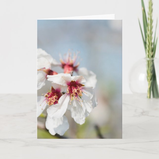 Carte Fleur d'amande (Devant)