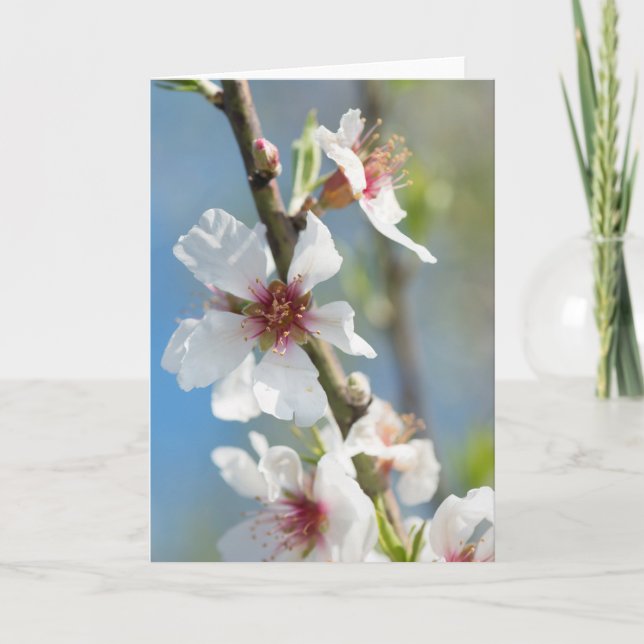 Carte Fleur d'amande (Devant)