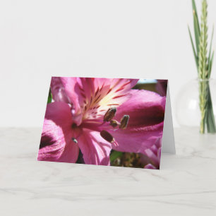 Carte Fleur dans un bouquet