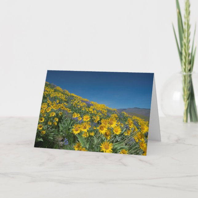 Carte Fleur de Balsamroot vide (Devant)