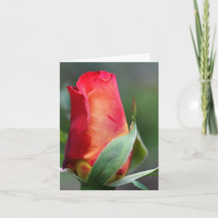 Carte Fleur de bourgeon de rose rouge jaune Note de phot