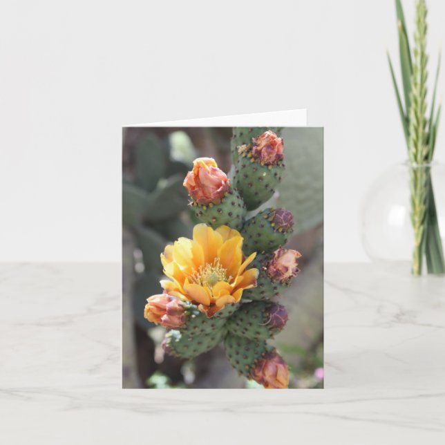 Carte Fleur de Cholla (Devant)
