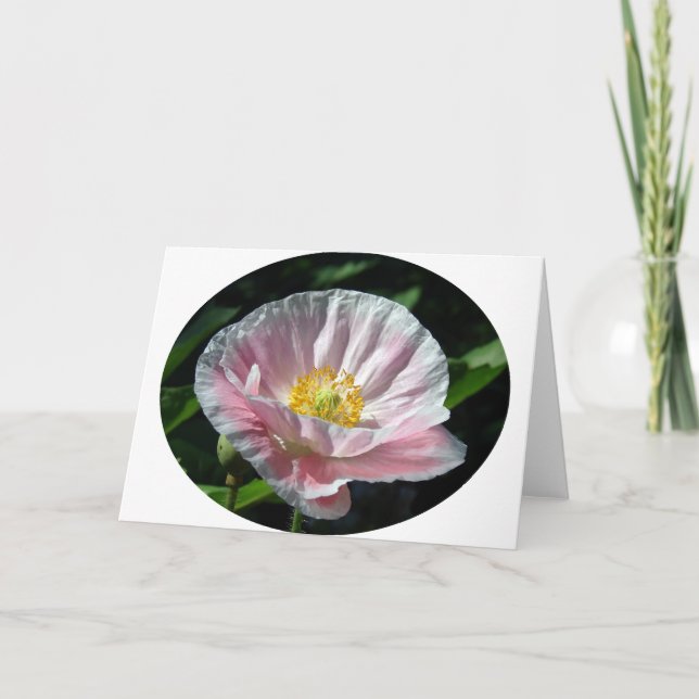 Carte Fleur de coquelicot rose (Devant)