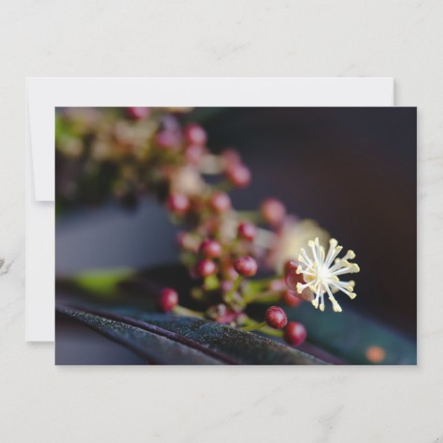 Carte Fleur de Croton (Devant)