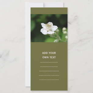 Carte Fleur de framboise blanc sauvage.