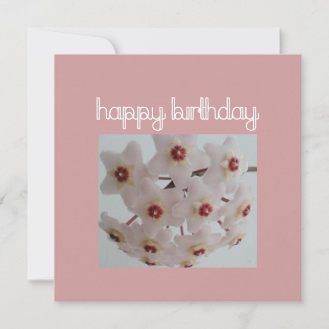 Carte Fleur de Hoya rose Anniversaire (Devant)