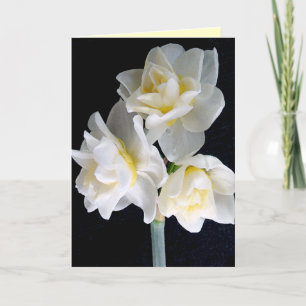 Carte Fleur de Jonquil - 3:1 d'Ecclesiastes