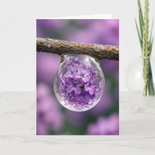 Carte Fleur de lilas d'anniversaire reflétée dans une go