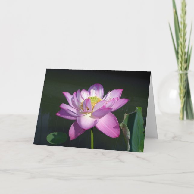 Carte Fleur de Lotus rose (Devant)