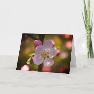 Carte Fleur de pommier