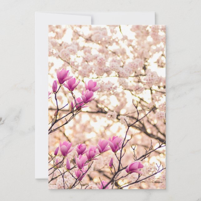 Carte Fleur de printemps rose pourpre en floraison (Devant)