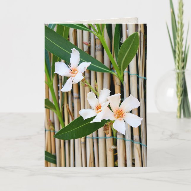 Carte Fleur de Vinca sur la barrière en bambou (Devant)