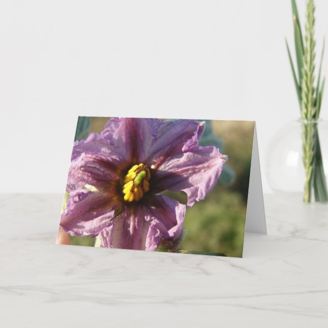 Carte Fleur d'épandage (Devant)