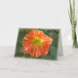 Carte Fleur d'érable