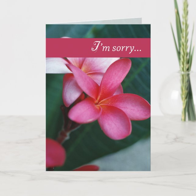 Carte Fleur d'excuses (Devant)