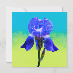 Carte Fleur d'iris