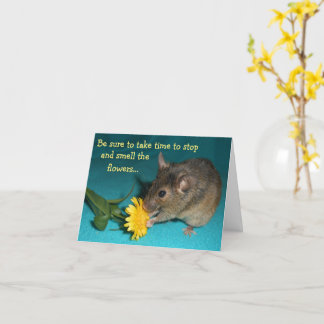 Carte Fleur d'odeur de souris