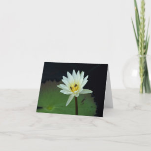 Carte Fleur-et-Abeilles