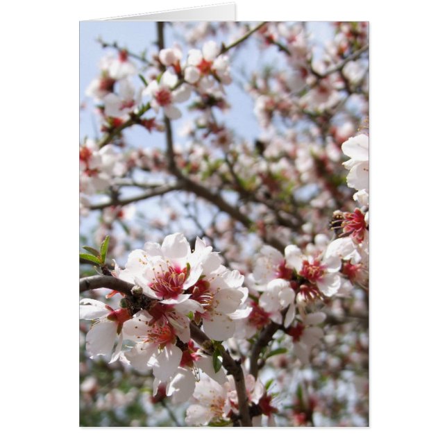 Carte Fleur Fleur Printemps (Devant)