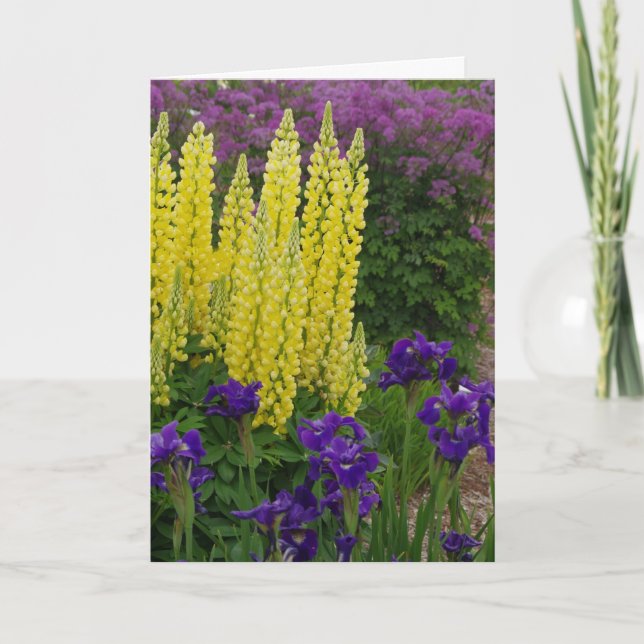 Carte Fleur générale d'anniversaire (Devant)
