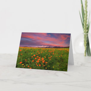 Carte Fleur Globe