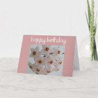 Fleur Hoya Anniversaire