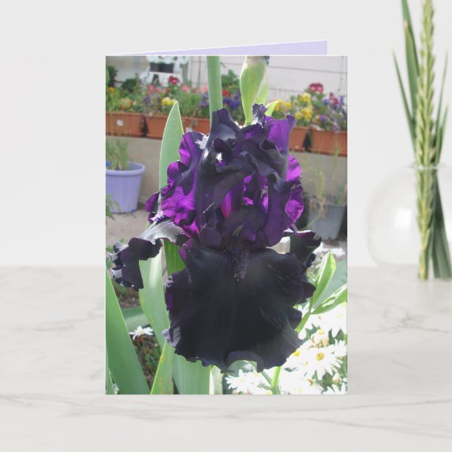 Carte Fleur Iris Noir Floral Photo Love Anniversaire Car (Devant)