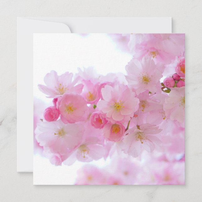 Carte Fleur japonaise de cerisier (Devant)