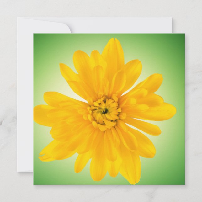 Carte Fleur jaune (Devant)