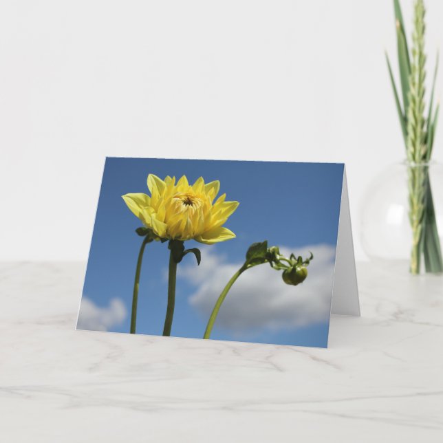 Carte Fleur jaune de dahlia au soleil (Devant)