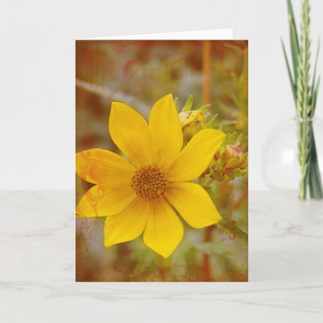 Carte Fleur jaune d'origine (Devant)
