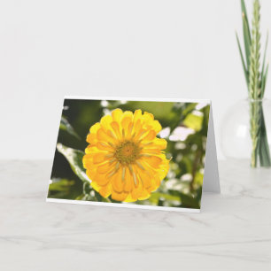 Carte Fleur jaune fleurie jaune marguerite jaune