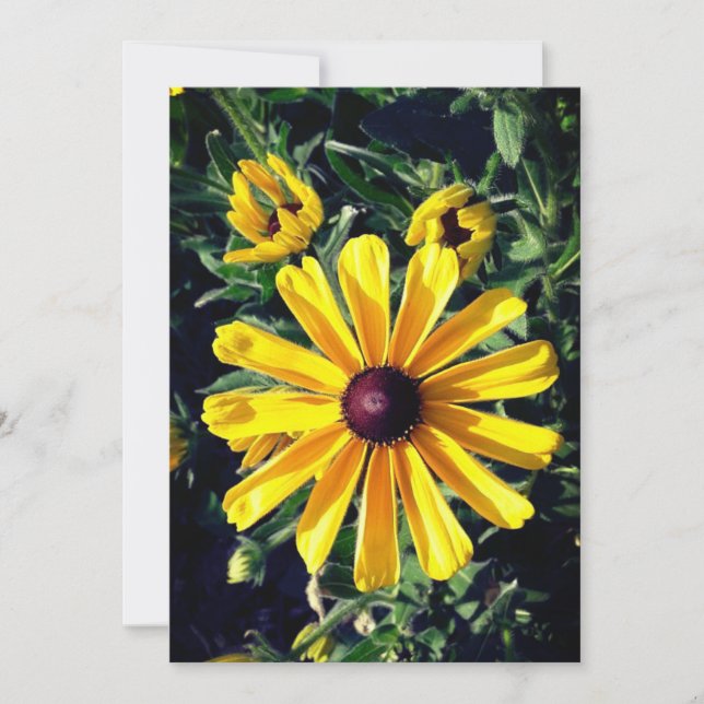 Carte Fleur Jaune Suzanne aux yeux noirs (Devant)