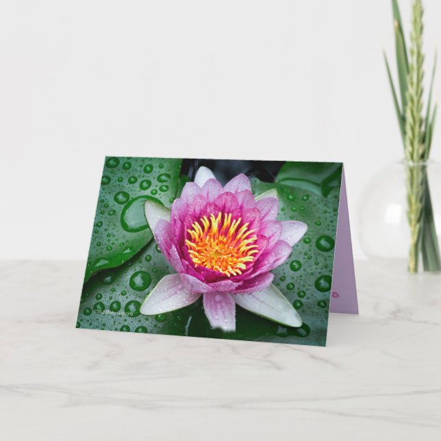 Carte Fleur Lotus (Devant)