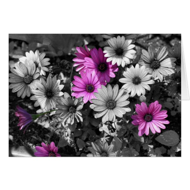 Carte Fleur Noire Et Blanche (Devant Horizontal)