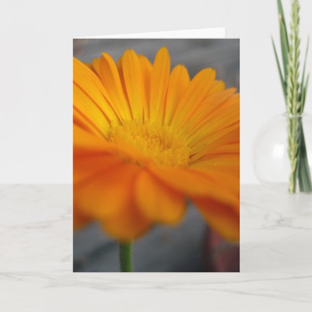 Carte fleur orange (Devant)