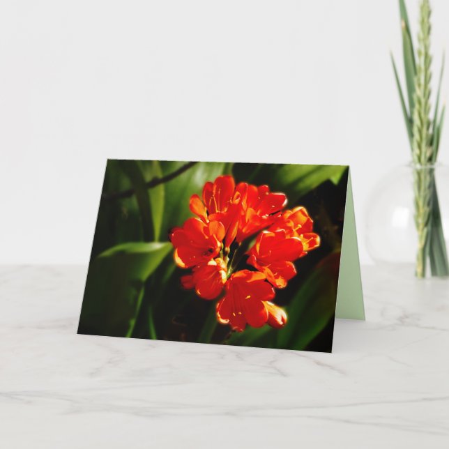 Carte Fleur Orange Vibrant, Floral, Vierge Salutation (Devant)