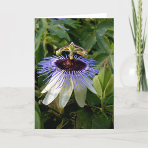 Carte Fleur Passion Automne